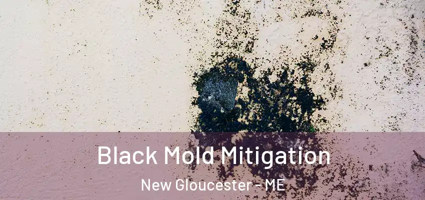  Black Mold Mitigation New Gloucester - ME