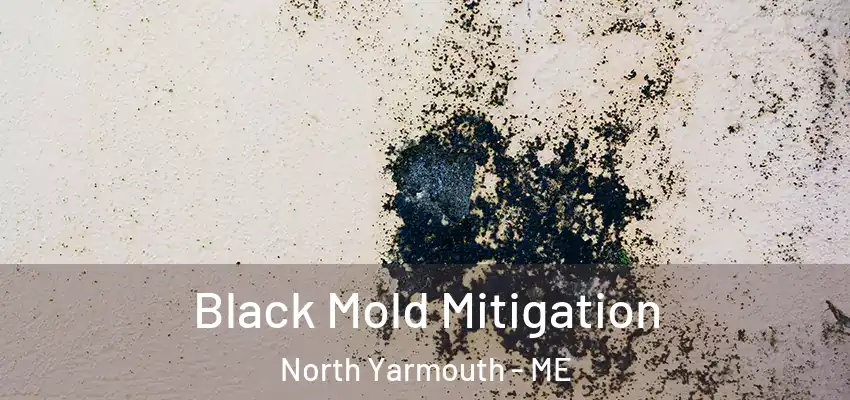  Black Mold Mitigation North Yarmouth - ME