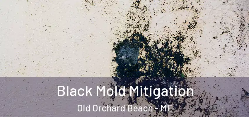 Black Mold Mitigation Old Orchard Beach - ME