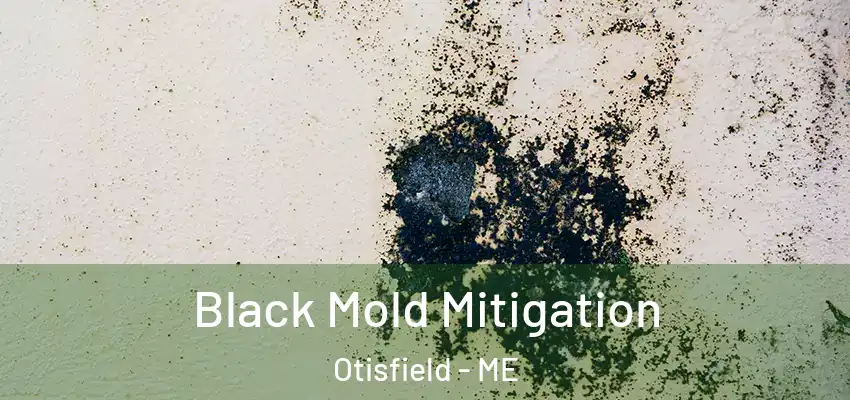  Black Mold Mitigation Otisfield - ME