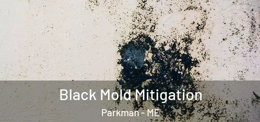  Black Mold Mitigation Parkman - ME