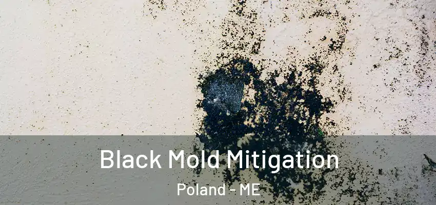  Black Mold Mitigation Poland - ME