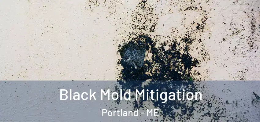 Black Mold Mitigation Portland - ME