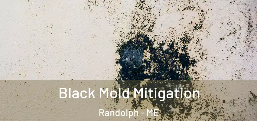 Black Mold Mitigation Randolph - ME