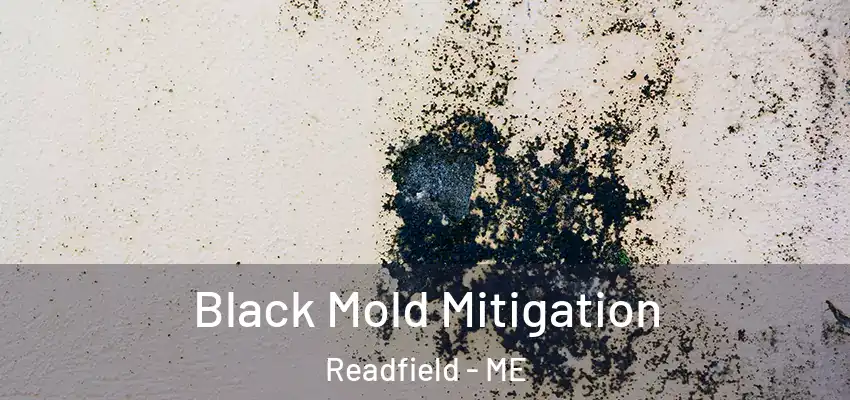 Black Mold Mitigation Readfield - ME
