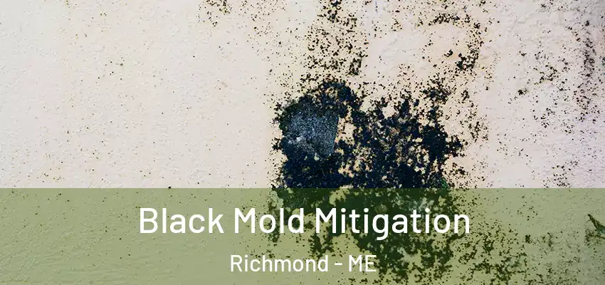  Black Mold Mitigation Richmond - ME