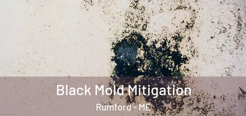  Black Mold Mitigation Rumford - ME
