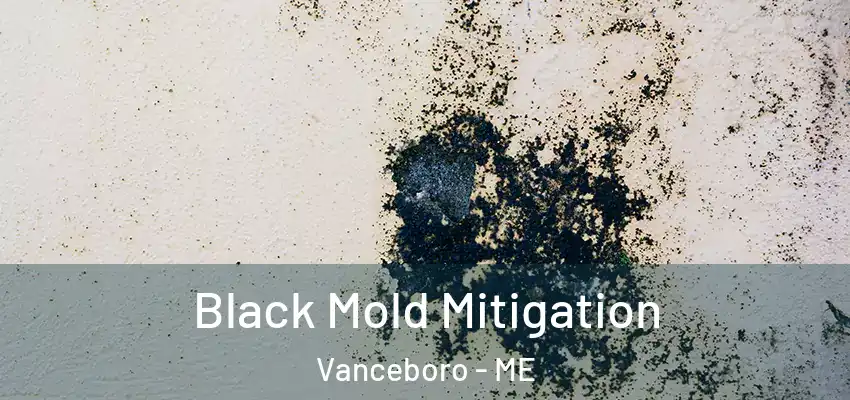  Black Mold Mitigation Vanceboro - ME