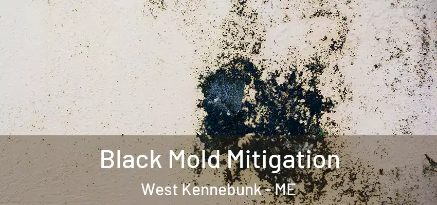 Black Mold Mitigation West Kennebunk - ME