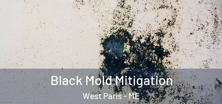  Black Mold Mitigation West Paris - ME