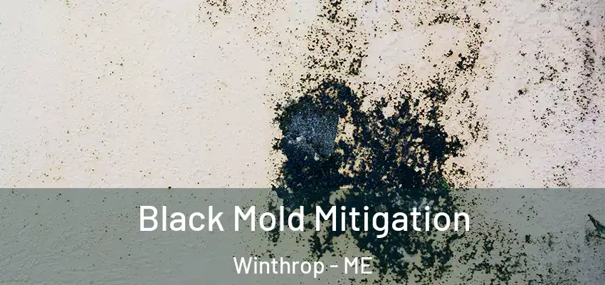  Black Mold Mitigation Winthrop - ME