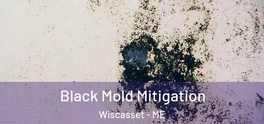 Black Mold Mitigation Wiscasset - ME