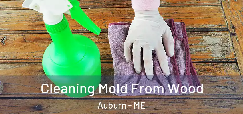  Cleaning Mold From Wood Auburn - ME
