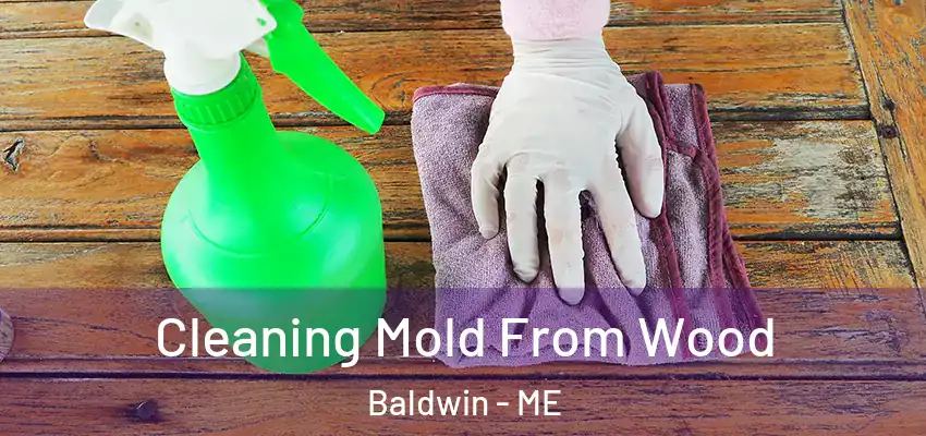 Cleaning Mold From Wood Baldwin - ME