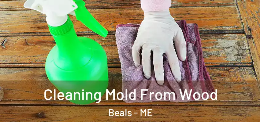 Cleaning Mold From Wood Beals - ME