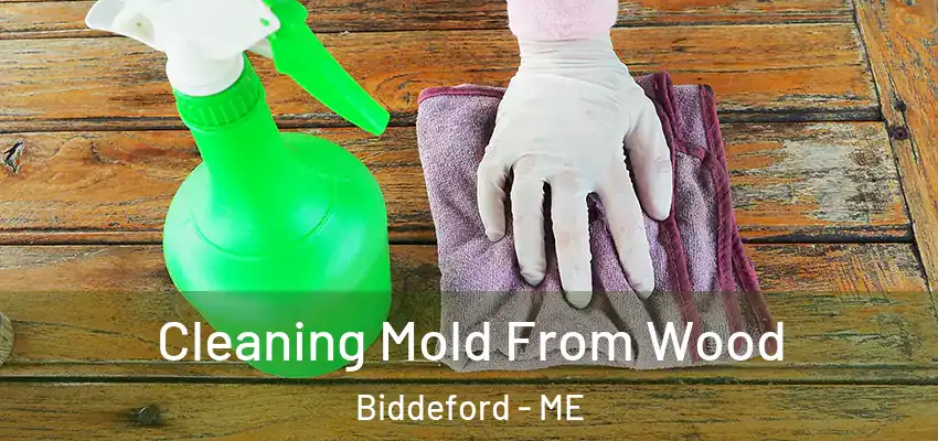 Cleaning Mold From Wood Biddeford - ME