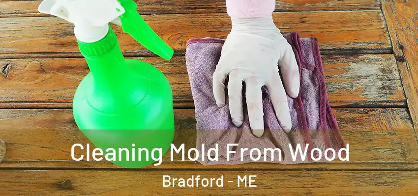 Cleaning Mold From Wood Bradford - ME