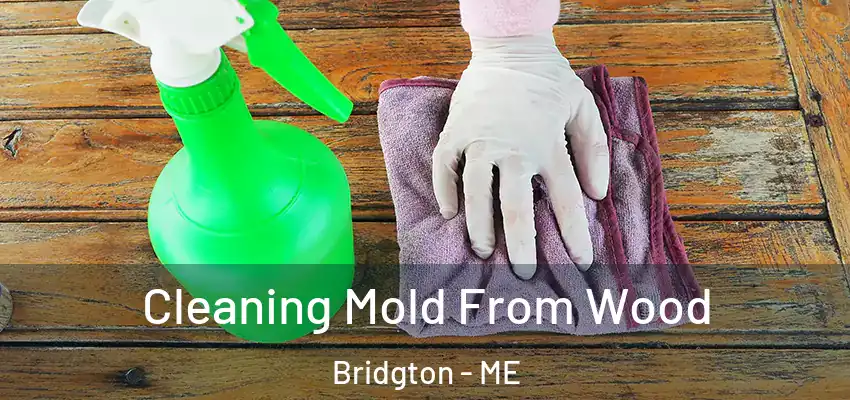  Cleaning Mold From Wood Bridgton - ME