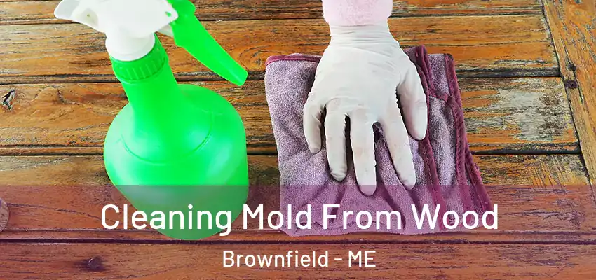 Cleaning Mold From Wood Brownfield - ME