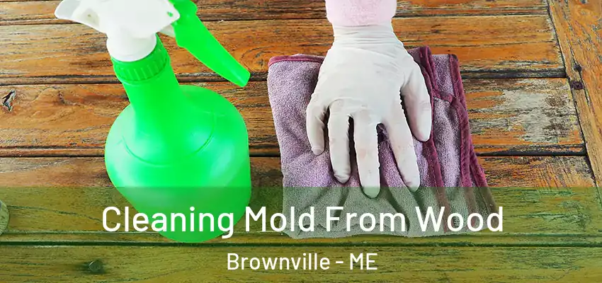  Cleaning Mold From Wood Brownville - ME