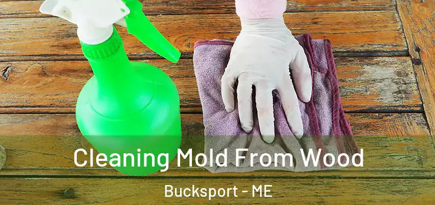  Cleaning Mold From Wood Bucksport - ME