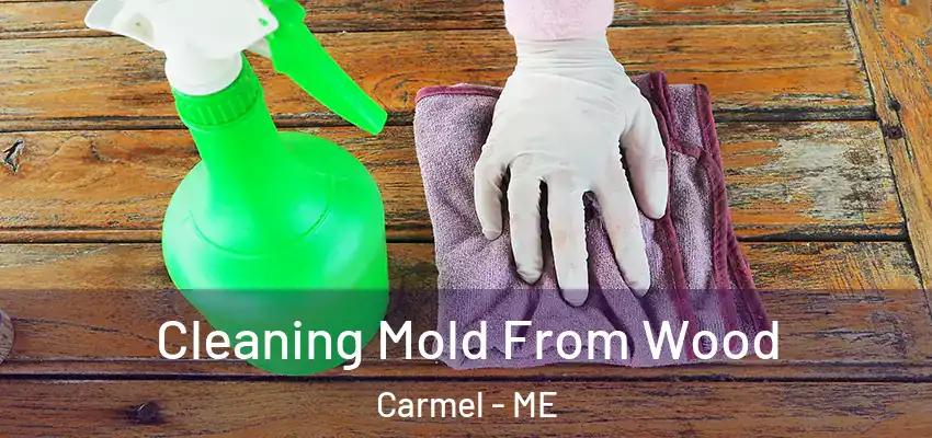 Cleaning Mold From Wood Carmel - ME