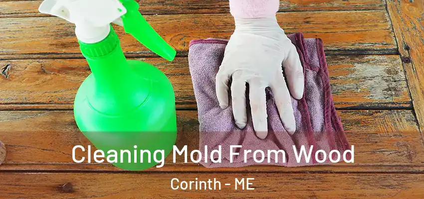 Cleaning Mold From Wood Corinth - ME
