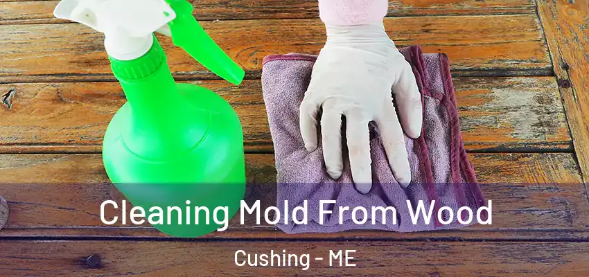  Cleaning Mold From Wood Cushing - ME