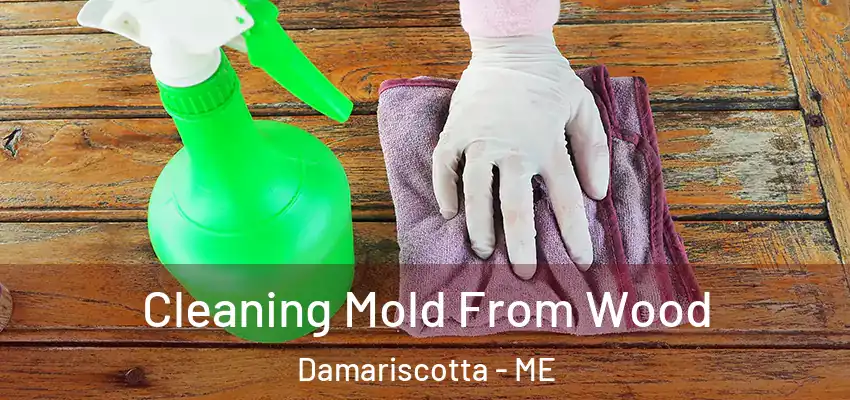 Cleaning Mold From Wood Damariscotta - ME