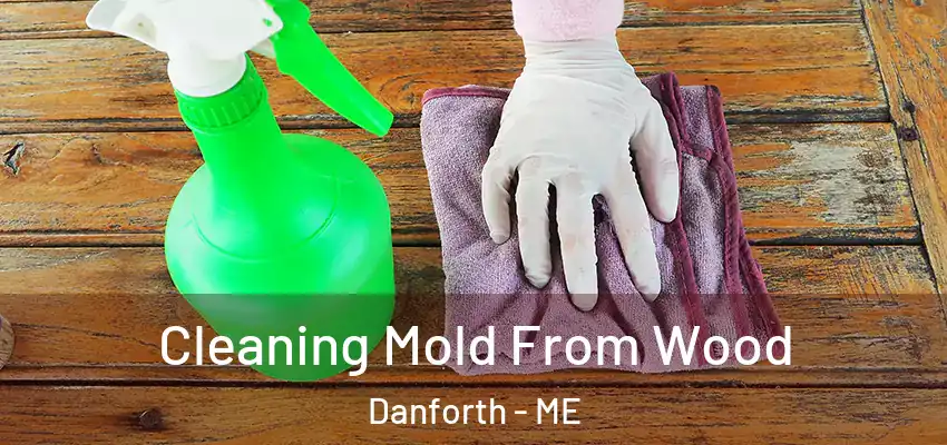  Cleaning Mold From Wood Danforth - ME