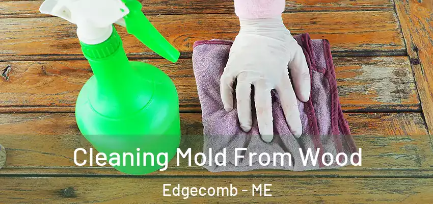  Cleaning Mold From Wood Edgecomb - ME
