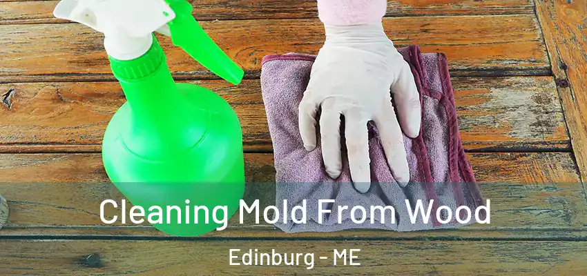  Cleaning Mold From Wood Edinburg - ME