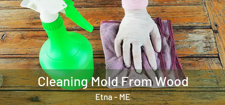 Cleaning Mold From Wood Etna - ME