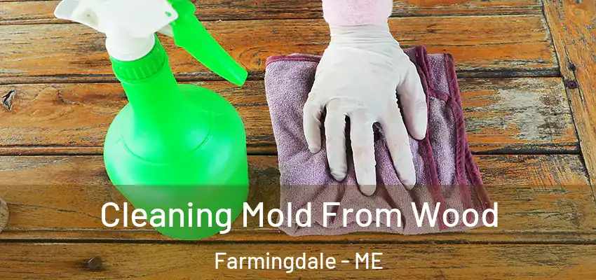 Cleaning Mold From Wood Farmingdale - ME