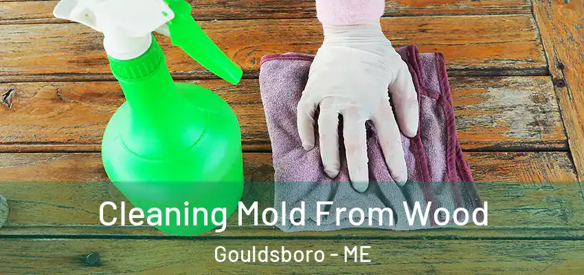 Cleaning Mold From Wood Gouldsboro - ME