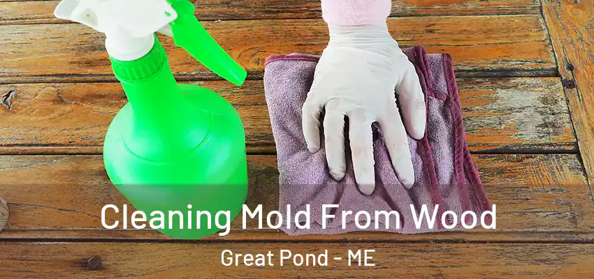 Cleaning Mold From Wood Great Pond - ME
