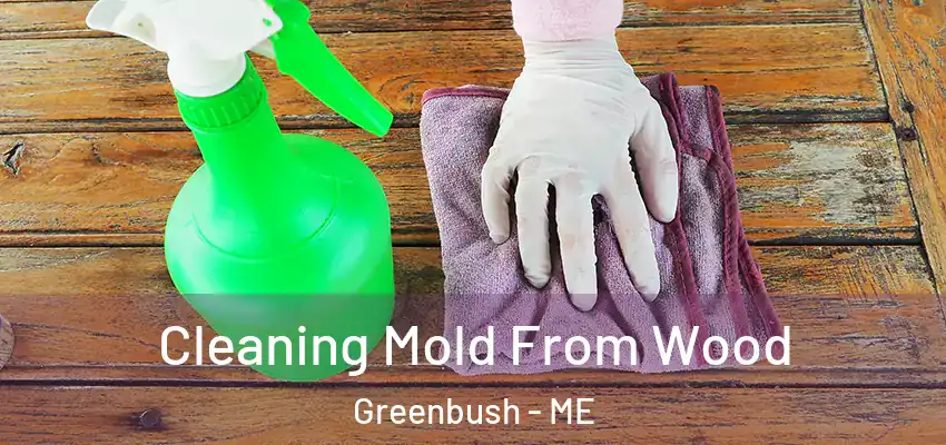 Cleaning Mold From Wood Greenbush - ME
