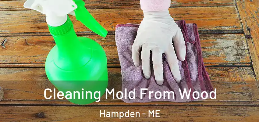 Cleaning Mold From Wood Hampden - ME