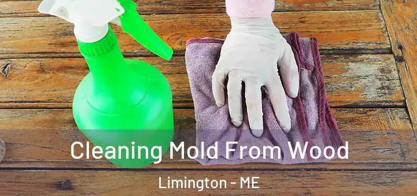  Cleaning Mold From Wood Limington - ME