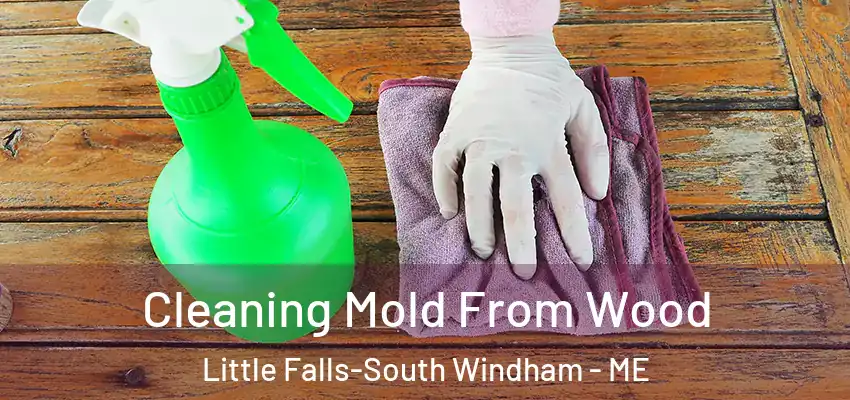 Cleaning Mold From Wood Little Falls-South Windham - ME