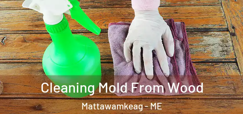  Cleaning Mold From Wood Mattawamkeag - ME
