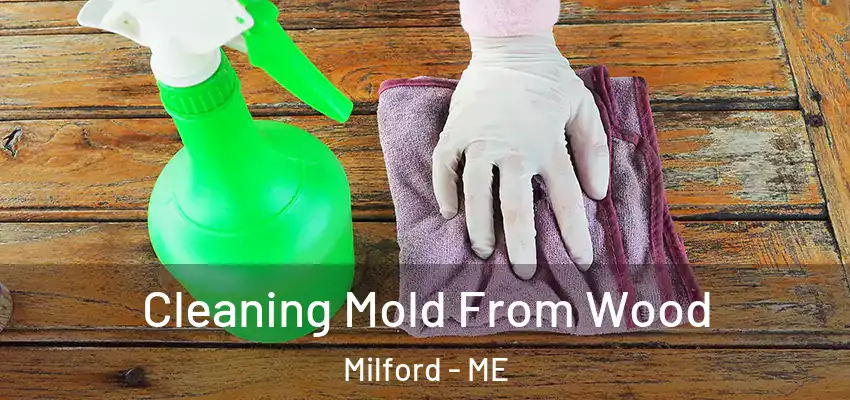 Cleaning Mold From Wood Milford - ME