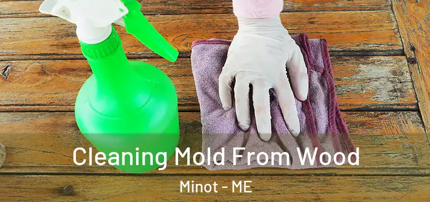 Cleaning Mold From Wood Minot - ME