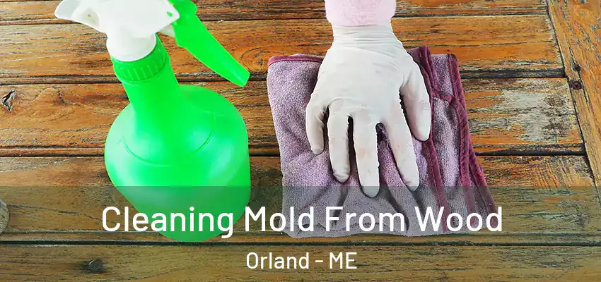  Cleaning Mold From Wood Orland - ME
