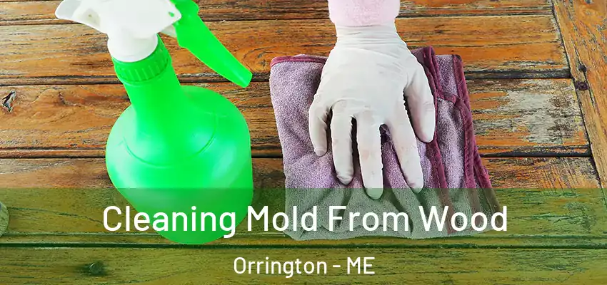 Cleaning Mold From Wood Orrington - ME