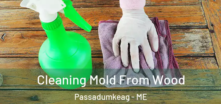  Cleaning Mold From Wood Passadumkeag - ME