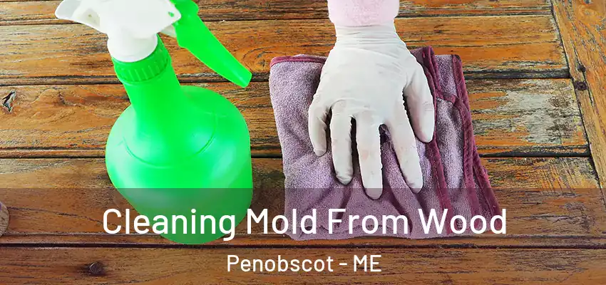  Cleaning Mold From Wood Penobscot - ME