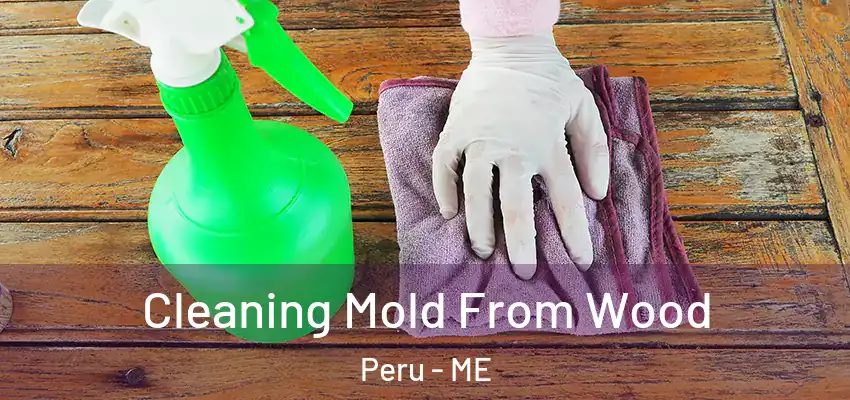  Cleaning Mold From Wood Peru - ME