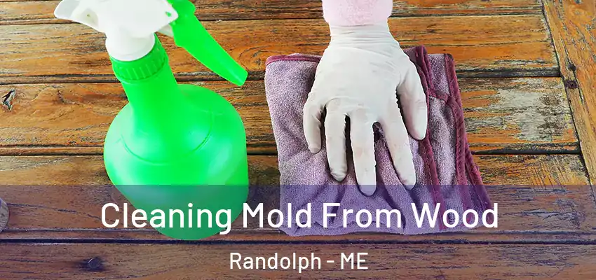 Cleaning Mold From Wood Randolph - ME