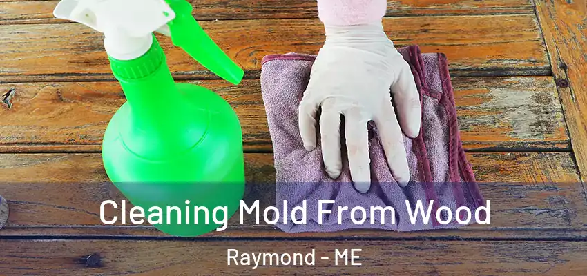 Cleaning Mold From Wood Raymond - ME